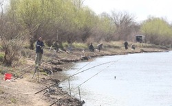 В Астраханской области и на Каспии введён запрет на вылов воблы до 31 декабря