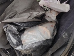 Володарские сотрудники ГИБДД остановили иномарку, груженую рыбой