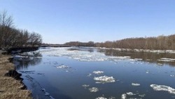 Водитель моторной лодки пострадал после столкновения со льдиной в Володарском районе