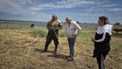 В хозяйствах Володарского района прошла проверка поголовья скота
