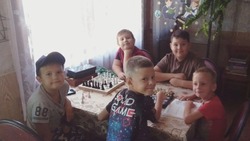 В Тишково начал работу шахматный клуб «Таинство фигур»