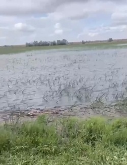 Паводок в Астраханской области проходит по позитивному сценарию