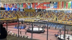 Ученики Алтынжарской школы выступили на чемпионате мира по миксфайту