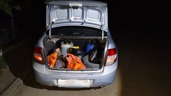 Сотрудники полиции обнаружили в автомобиле володарца незаконно добытых осетров