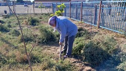 В Мултаново проводят рейды по соблюдению правил благоустройства  