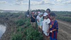 В Хуторском сельсовете появилась Осетровая улица 