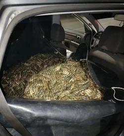 В Володарском районе задержали «оптового» покупателя раков