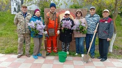 Володарцы всех возрастов приняли участие в весеннем субботнике