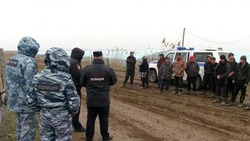 В тепличном комплексе в Тулугановке работали нелегалы