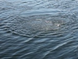 В Володарском районе обнаружено тело второго утонувшего рыбака