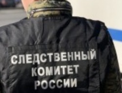 Володарец ответит за применение насилия в отношении представителя власти