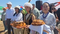 Володарская делегация приняла участие в праздновании Сабантуя