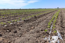 Володарская администрация стала активно взыскивать плату за пользование землёй