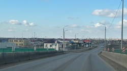 110 килограммов раков перевозил в своем авто володарец 