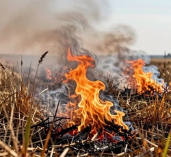 В селе Зеленга огнеборцы ликвидировали пожар